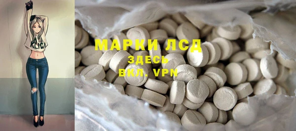 ПСИЛОЦИБИНОВЫЕ ГРИБЫ Дмитров