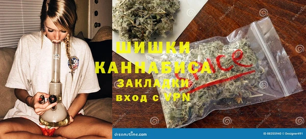 молекула духа Елабуга
