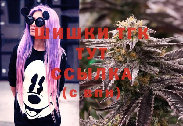 дурь Ельня