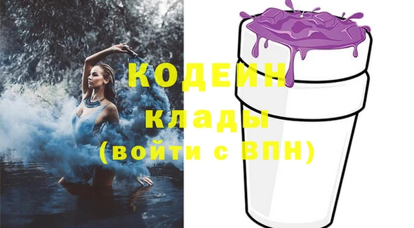 дурь Ельня