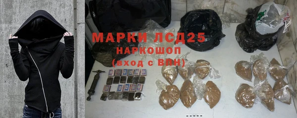 дурь Ельня