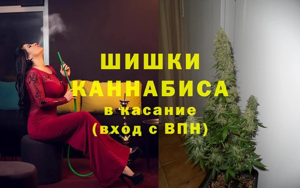 ПСИЛОЦИБИНОВЫЕ ГРИБЫ Дмитров