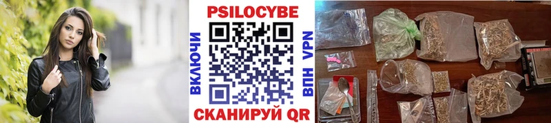 Галлюциногенные грибы Psilocybe  Холм 