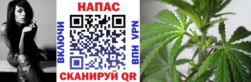где купить   Холм  Шишки марихуана White Widow 